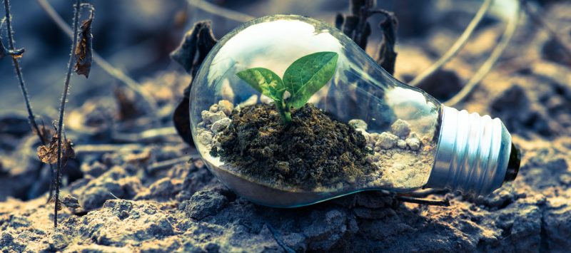 ¿Por qué preferir un parque infantil con materiales eco amigables?